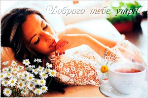                      ПОЧЕМУ КОШЕК НЕЛЬЗЯ БИТЬ(от Пчёлки)