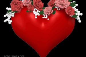              Как квасить капусту в банке: 3 пошаговых рецепта(ОТ ПЧЁЛКИ)