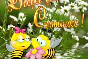 ПОЛЕЗНЫЙ ХРЕН — О ЦЕЛЕБНЫХ СВОЙСТВАХ РАСТЕНИЯ(от Пчёлки)