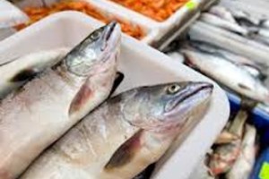 Росрыболовство: у покупателя рыбы должен быть выбор