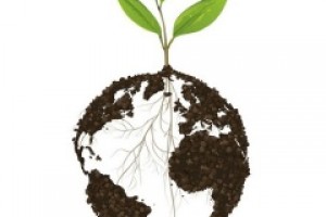Всемирный день почв (World Soil Day)