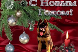 Поздравляем Всех с Новым 2018 годом!