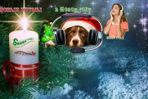                      ЧЕГО НЕ УМЕЮТ ЗНАКИ ЗОДИАКА (От Пчёлки)