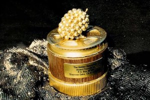 Объявлены номинанты на премию «Золотая малина — 2018»