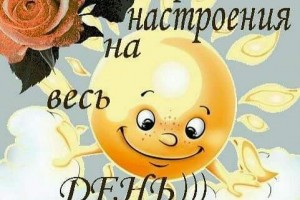  Торт в микроволновке за 10 минут. Самый вкусный и бюджетный рецепт(от Пчёлки)