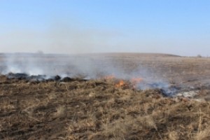 С началом пожароопасного периода в Астраханской области, подавляющее большинство выездов спасателей приходится на загорание камыша и сухой растительности.