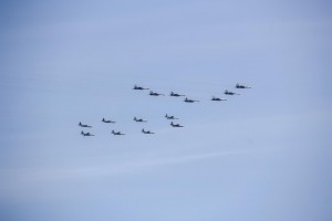         Гороскоп удачи: какое животное оберегает ваш знак зодиака  (От Пчёлки)