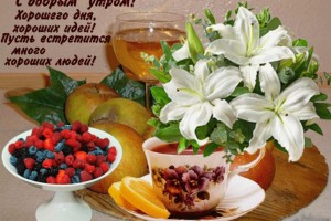  Завтрак  Мышке от АлЮра))