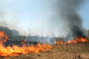 Спасатели ппредупреждают о высокой пожароопасности в Астраханской области.
