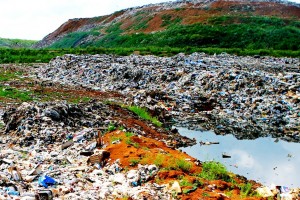 В Мурманской области из мусора будут делать жидкое топливо