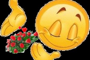                           ЗВЕРЬЕ МОЕ Без кота и жизнь не та(ОТ ПЧЁЛКИ)