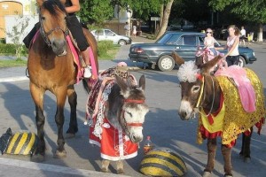 Астраханская юная наездница применила насилие в отношении полицейских