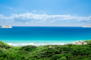                                  БАБУШКИНЫ ПРИМЕТЫ(От Пчёлки)