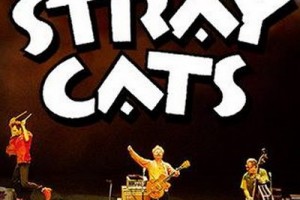 БРОДЯЧИЕ КОШКИ !!!!Stray Cats — американская рок-группа!!!!!!!!!!!!!!