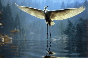 Александр Шандр . Цапля