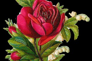 Продолжение:Самый точный гороскоп на удачу для каждого Знака Зодиака(От Пчёлки)