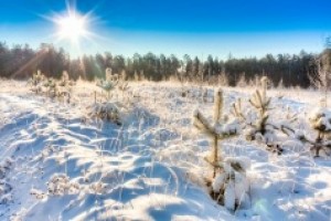 Карачун (Корочун) — день зимнего солнцестояния