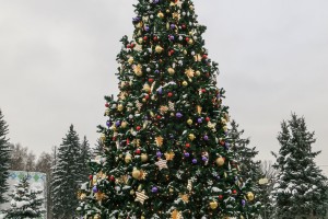                                          КАКАЯ САМАЯ СИЛЬНАЯ ЭМОЦИЯ У КАЖДОГО ЗНАКА ЗОДИАКА?(ОтПчёлки)