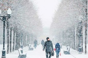 Синоптики прогнозируют в Астраханской области ветер со снегом.