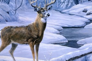 Русь моя  ( От Светланы Полыгаловой )