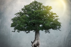 Althea - The Art Of Trees (2019) ...!!!!!!!!!!!!!!!!!!!!!!!!!!!!!!!!!!!!!!