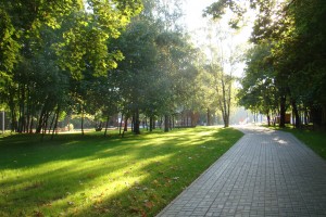 Астраханская администрация отремонтирует Парк семьи