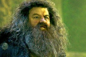 Хагрид из «Гарри Поттера» передвигается в инвалидном кресле