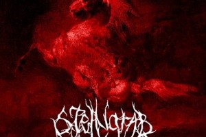 STEINGRAB выпустили сборник римейков и неизданных треков на лейбле SoundAge!!!!!!!!!!!!!!!!!