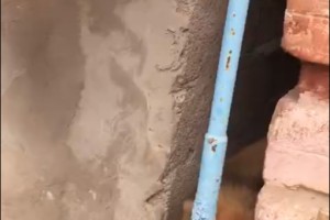 Астраханец вызволил собаку из бетонного плена