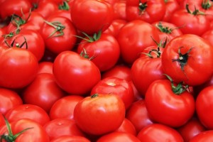 Астраханская область стала первой по сбору помидоров