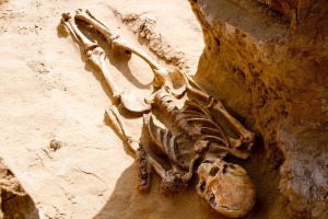 На раскопках в Астраханской области нашли еще две могилы кочевников