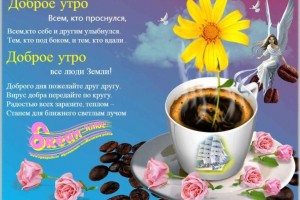                                 Предсказание на будущее: откуда мне ждать счастье?(От Пчёлки)