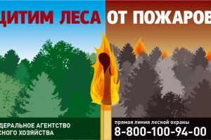 В Астраханской области ввели запрет на разведение костров в лесу