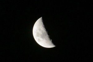 Астраханцам предлагают посмотреть на лунное затмение через телескопы