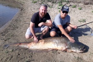 Астраханские рыбаки поймали двухметрового сома