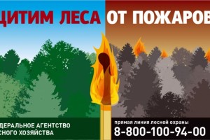 В Астраханской области продлили пожароопасный сезон