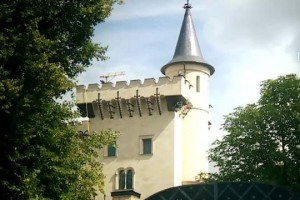Бунт в Грязи: замок Пугачёвой и Галкина мечтают снести 