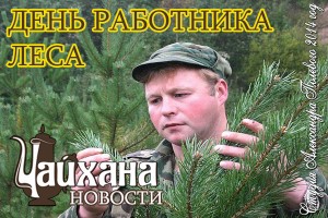 Сегодня в Беларуси День работников леса