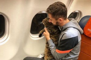 Россиянина отказались пускать в самолет из-за толстого кота