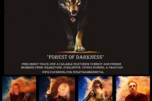 Экс-гитарист VICIOUS RUMORS и CHASTAIN создал новый проект WOLF CHAMBER!!!!!!!!!!!!!