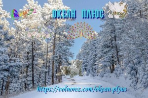                     Закуски на Новый год: ставим все на стол в минуты(От Пчёлки)