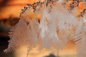 Всесезонная любовь... Валентина Гайдук