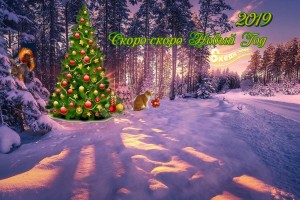                Выберите число на изображении, и получите совет на будущее(ОтПчёлки)