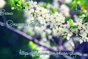 Дорогие друзья и коллеги!