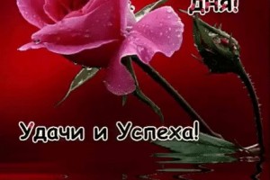 Неожиданный расклад... Валентина Гайдук